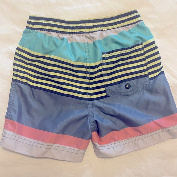 Tea Swim Trunks - Picture 2 of 3